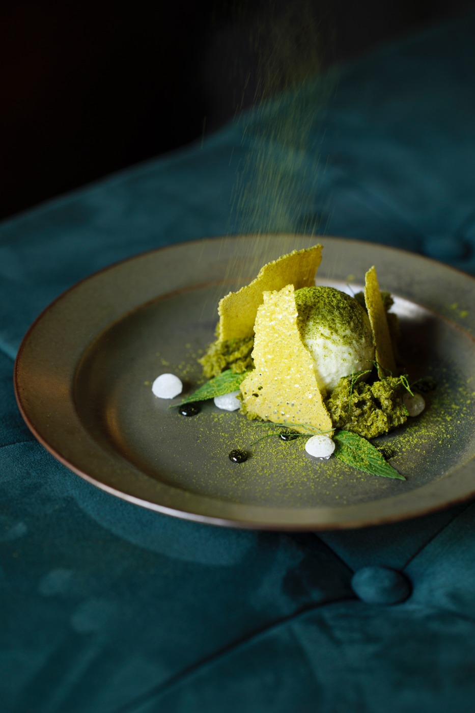 _31A0100_1CG.jpg _31A0100_1CG.jpg