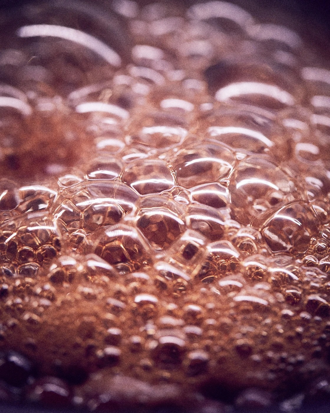 _Q6A8591.jpg _Q6A8591.jpg