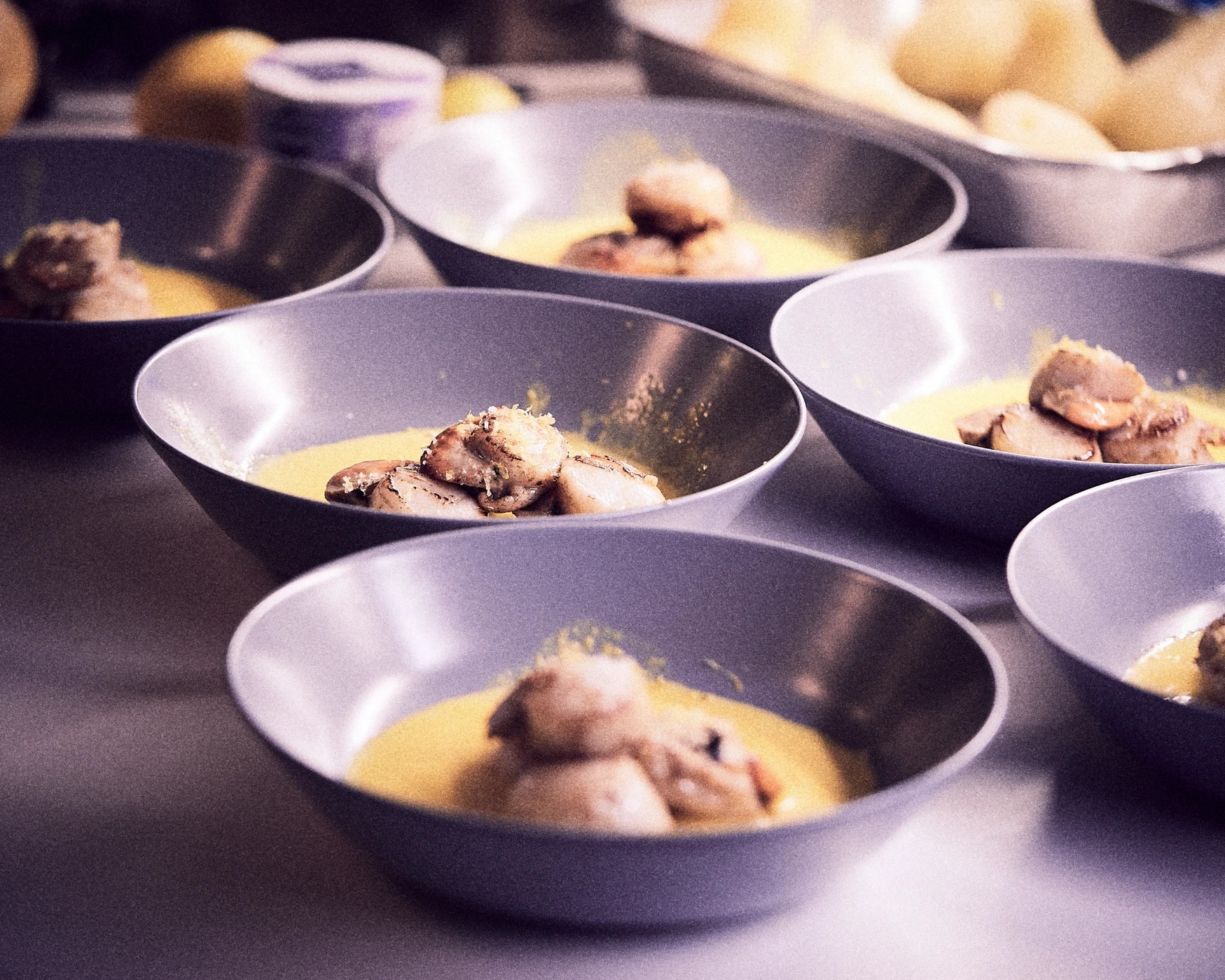 _Q6A8559.jpg _Q6A8559.jpg