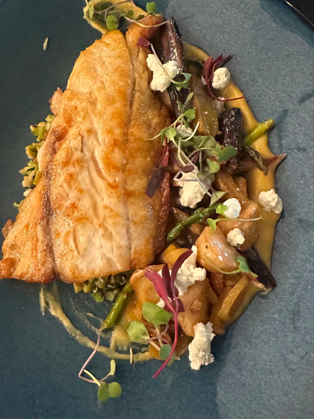 IMG_9801.jpeg IMG_9801.jpeg