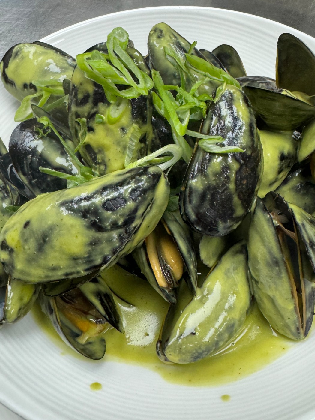 IMG_4108.jpeg IMG_4108.jpeg