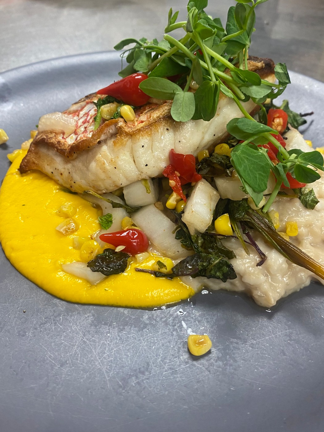 IMG_3661.jpeg IMG_3661.jpeg