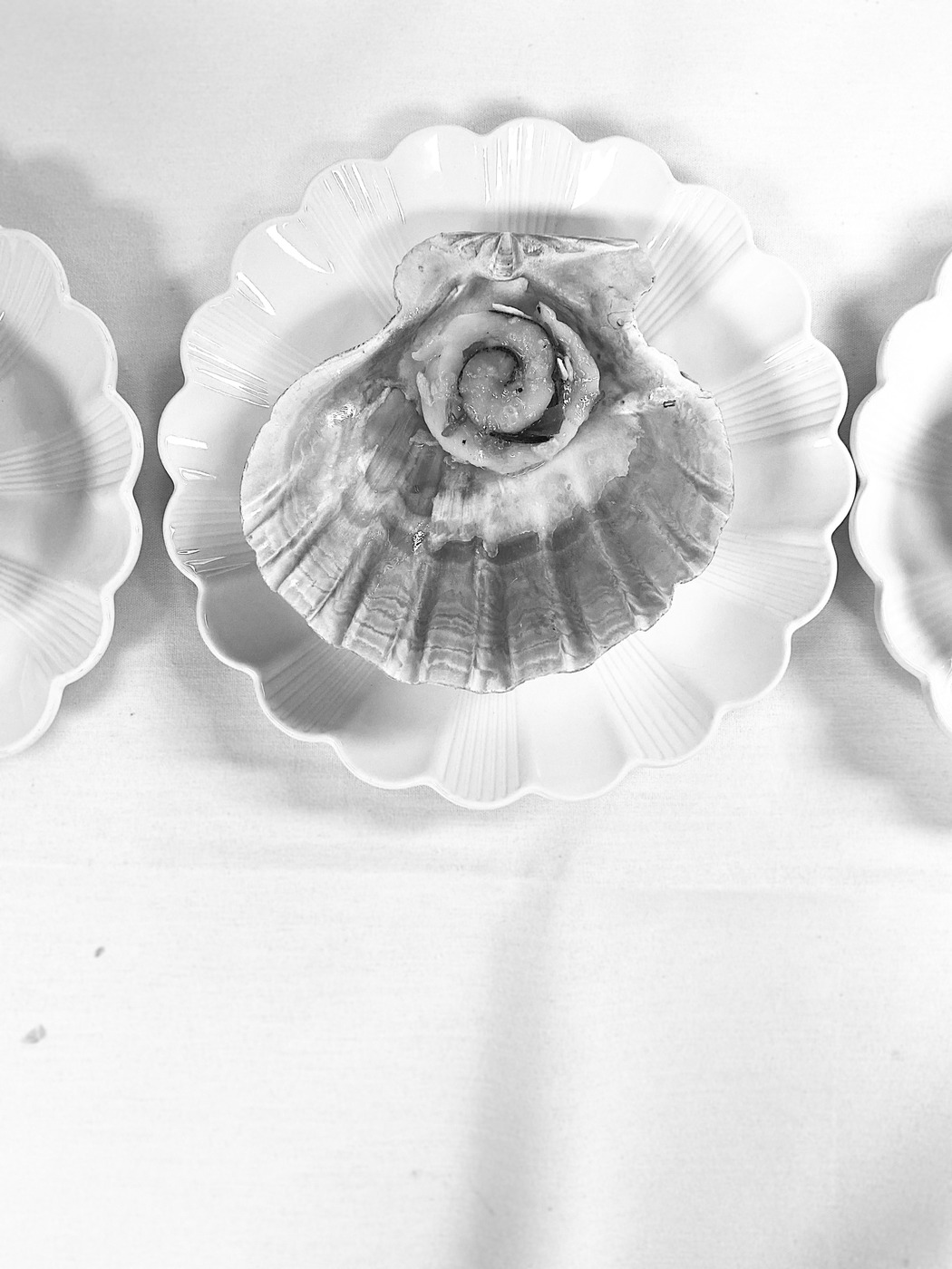 IMG_3980.jpeg IMG_3980.jpeg