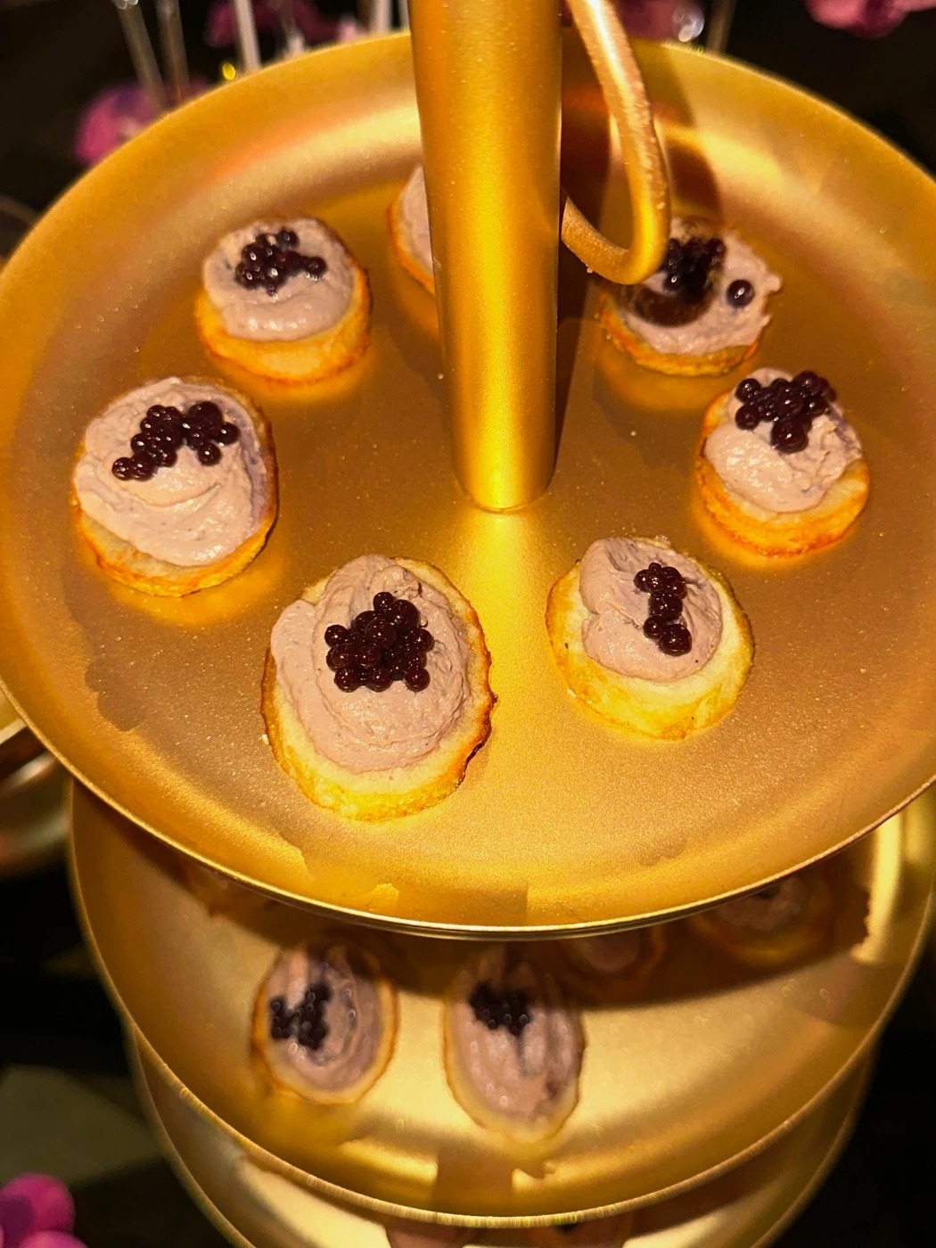 IMG_0627.JPG IMG_0627.JPG