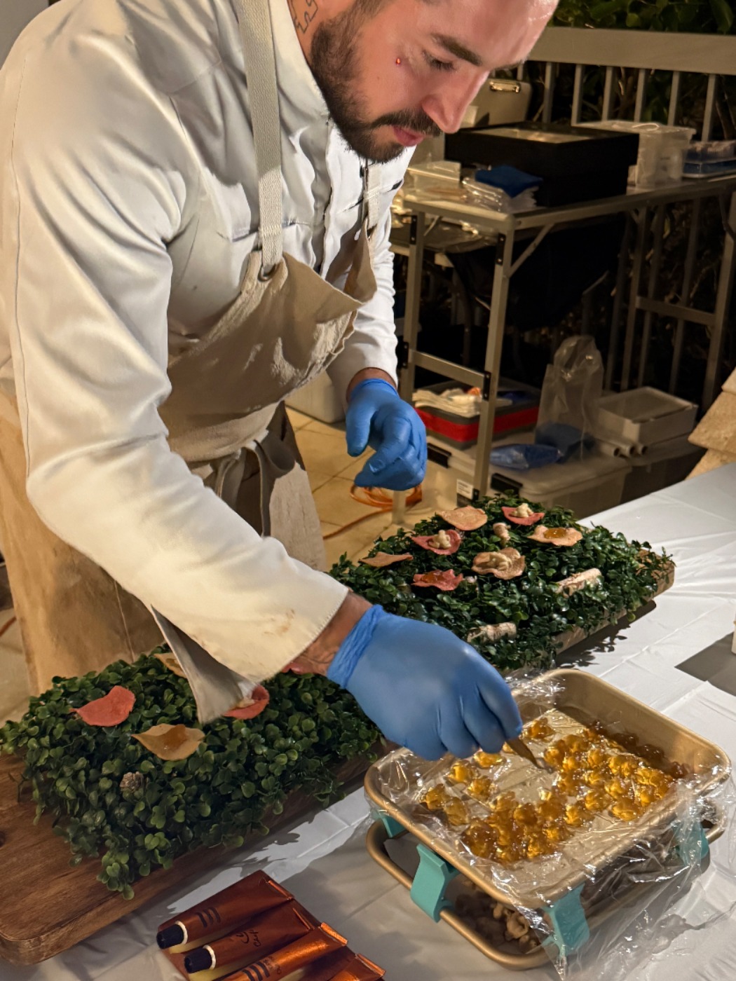 IMG_2081.jpeg IMG_2081.jpeg