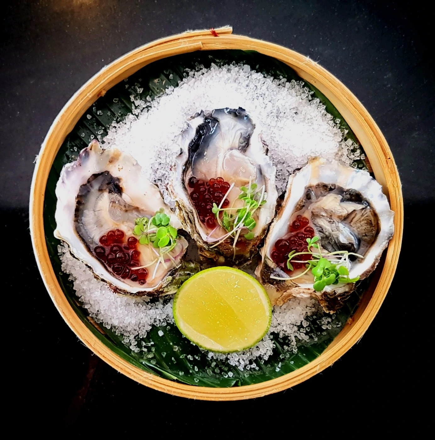 1000081225.jpg 1000081225.jpg