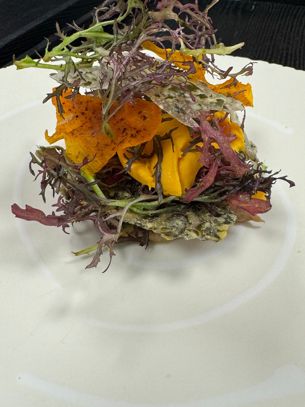 IMG_9679.jpeg IMG_9679.jpeg