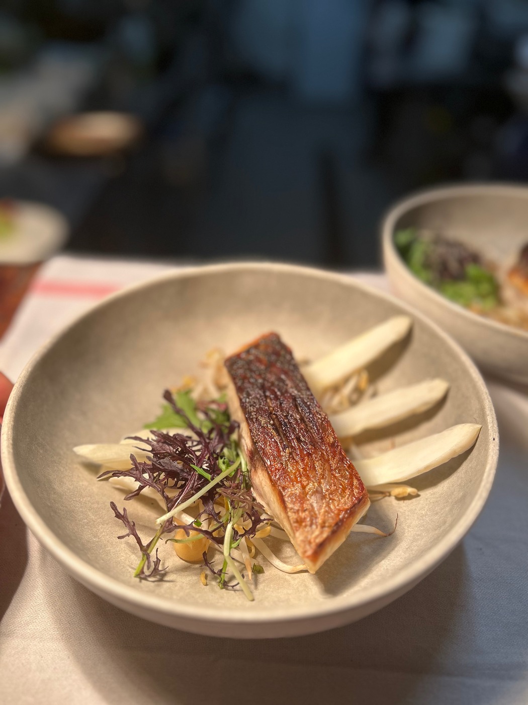 IMG_9314.jpeg IMG_9314.jpeg