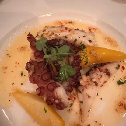 506926320_10236139080967552_4717111746076151153_n.jpg 506926320_10236139080967552_4717111746076151153_n.jpg