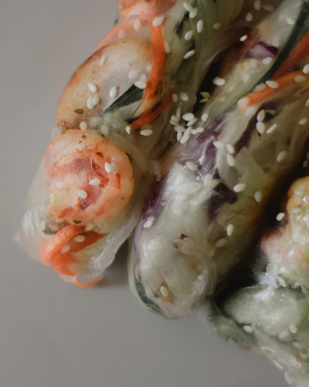 473741595_122134299068552048_1095780349487616645_n.jpg 473741595_122134299068552048_1095780349487616645_n.jpg