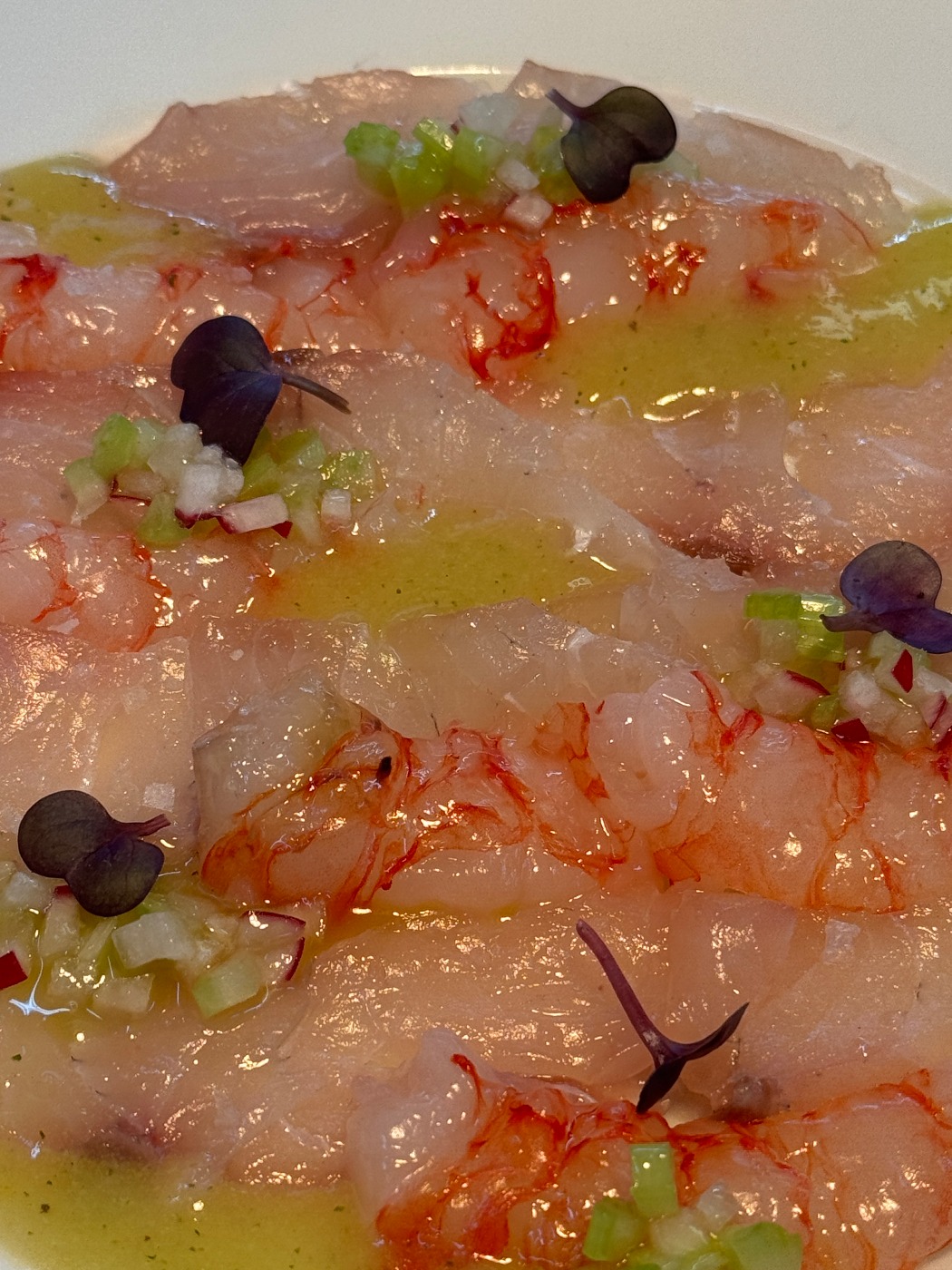 IMG_6024.jpeg IMG_6024.jpeg