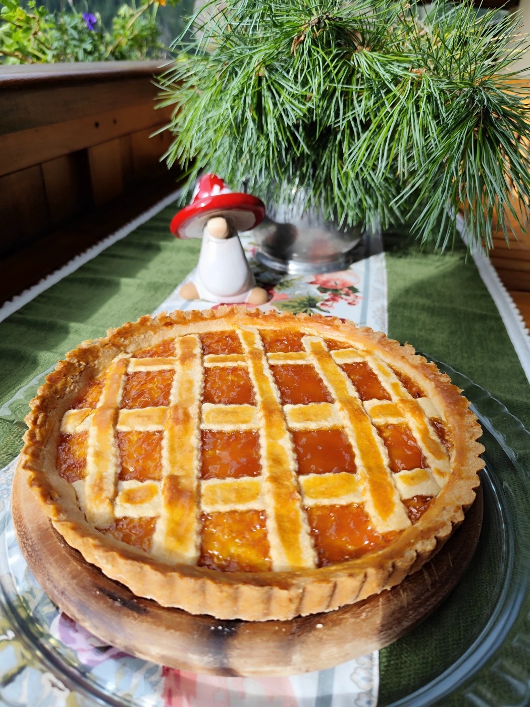 1000034795.jpg 1000034795.jpg