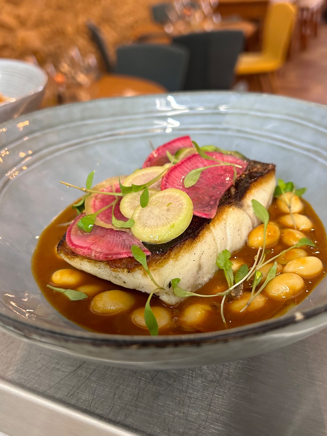 IMG_3356.jpeg IMG_3356.jpeg