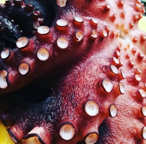 Screenshot_2025-12-11-12-08-11-451_com.instagram.android.jpg Screenshot_2025-12-11-12-08-11-451_com.instagram.android.jpg