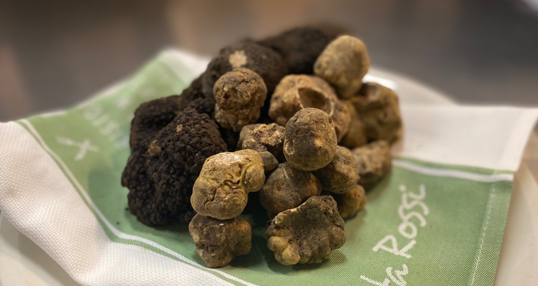 IMG_6236.jpeg IMG_6236.jpeg