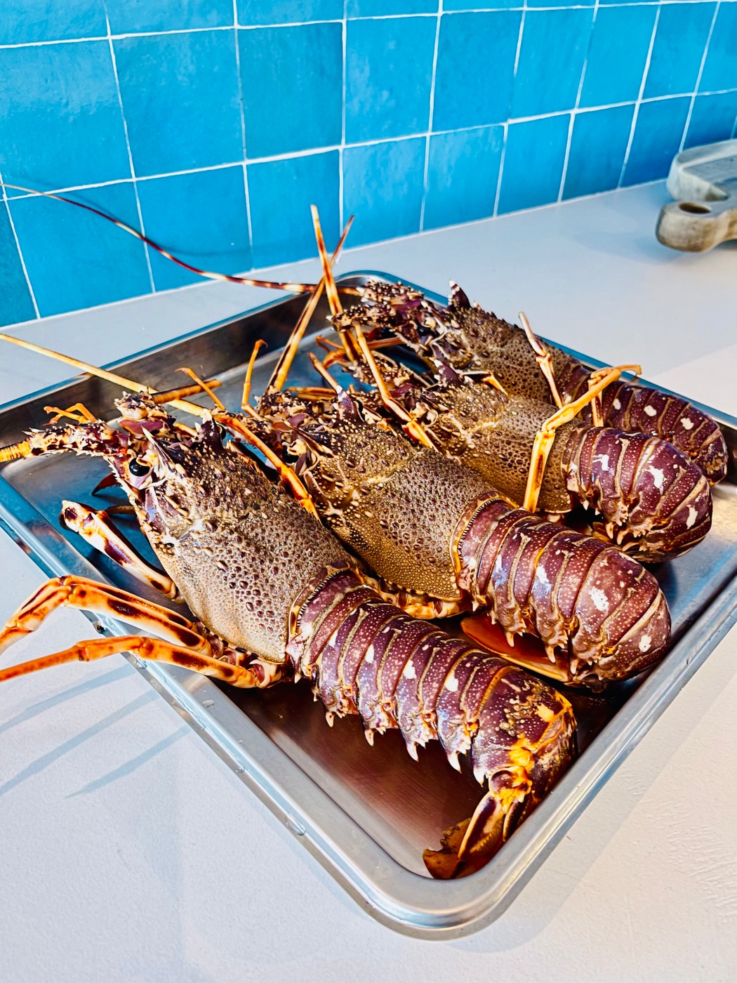 tempImage3qdcL3.jpg tempImage3qdcL3.jpg