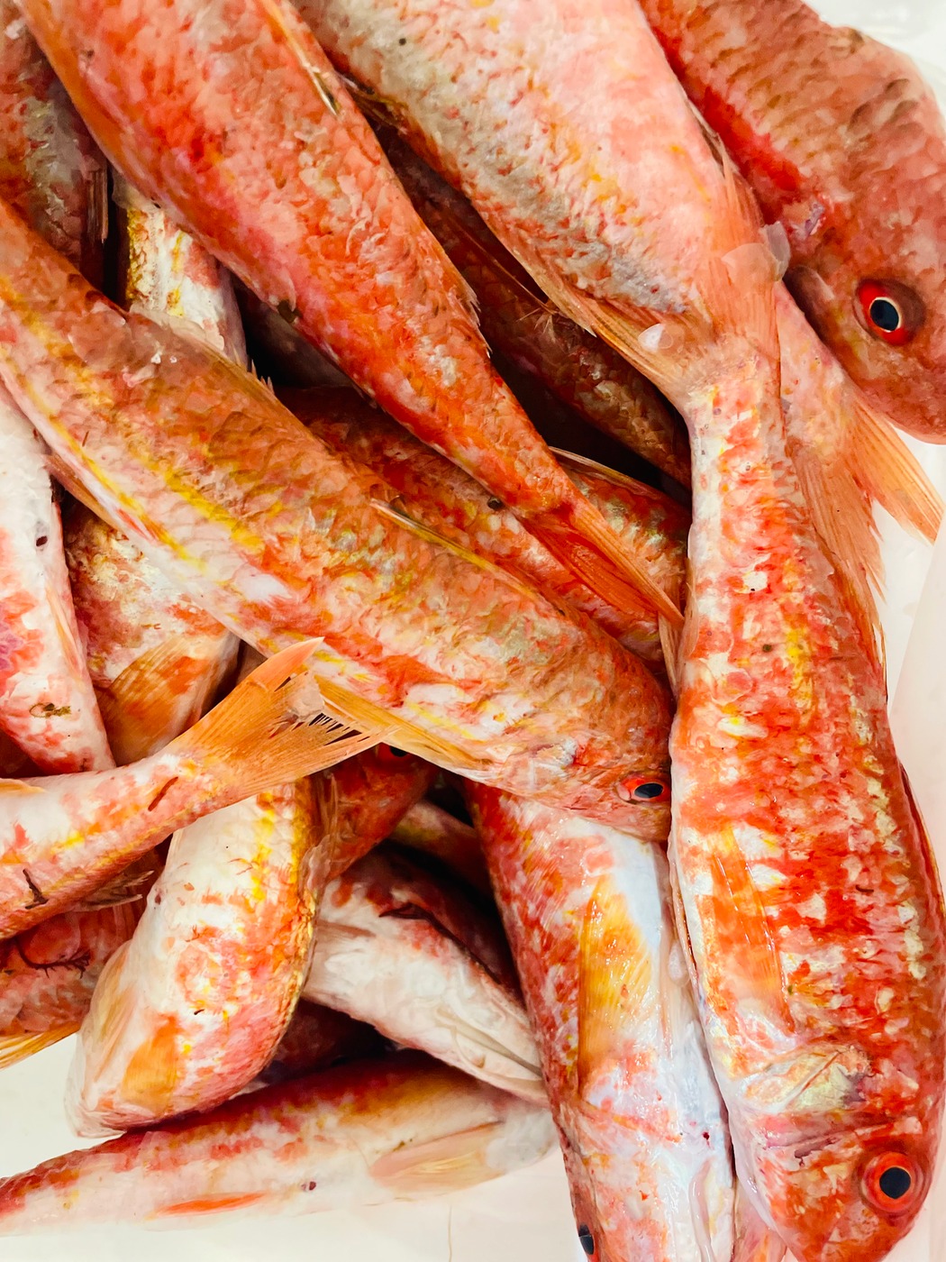 tempImageUyoGsl.jpg tempImageUyoGsl.jpg