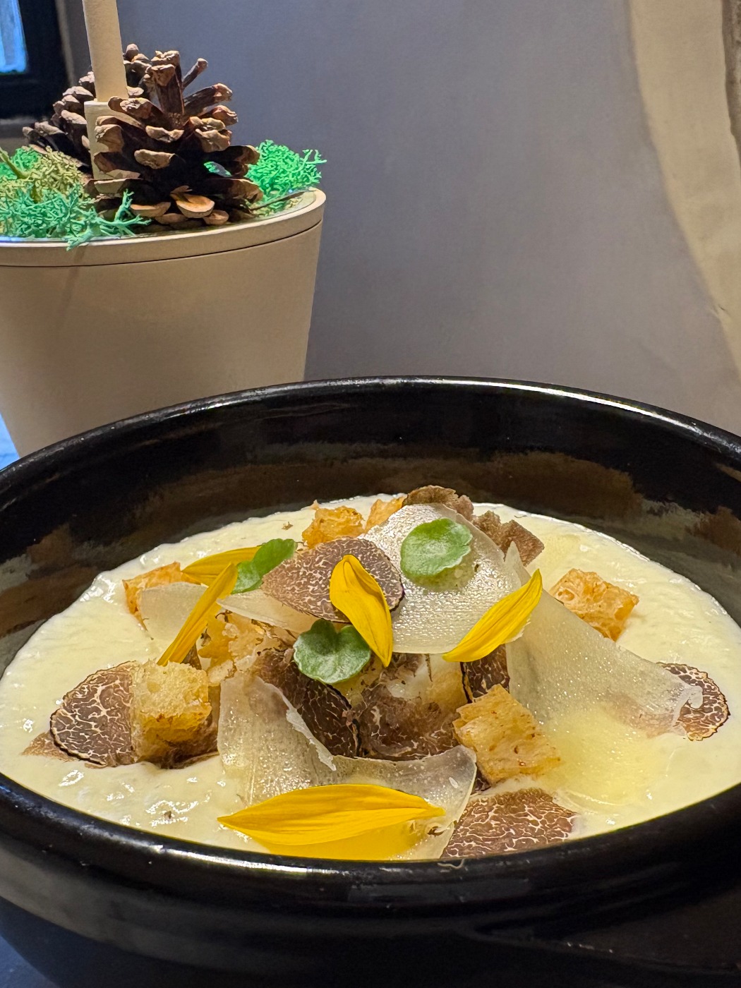 IMG_1956.jpeg IMG_1956.jpeg