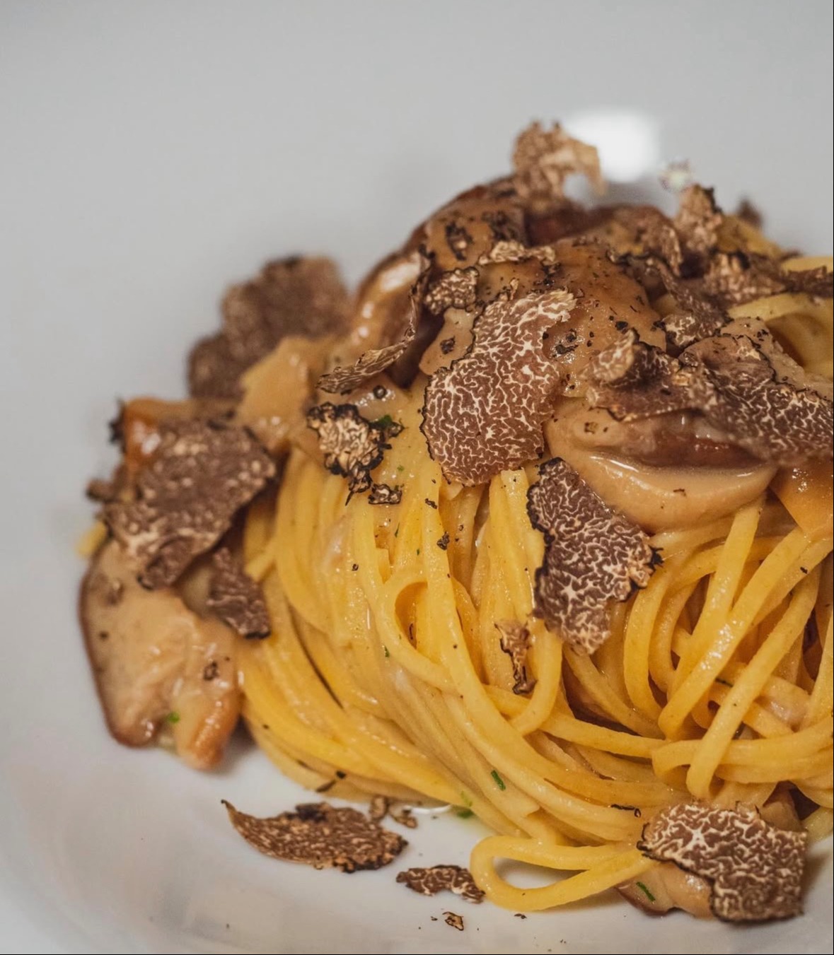 IMG_1968.jpeg IMG_1968.jpeg