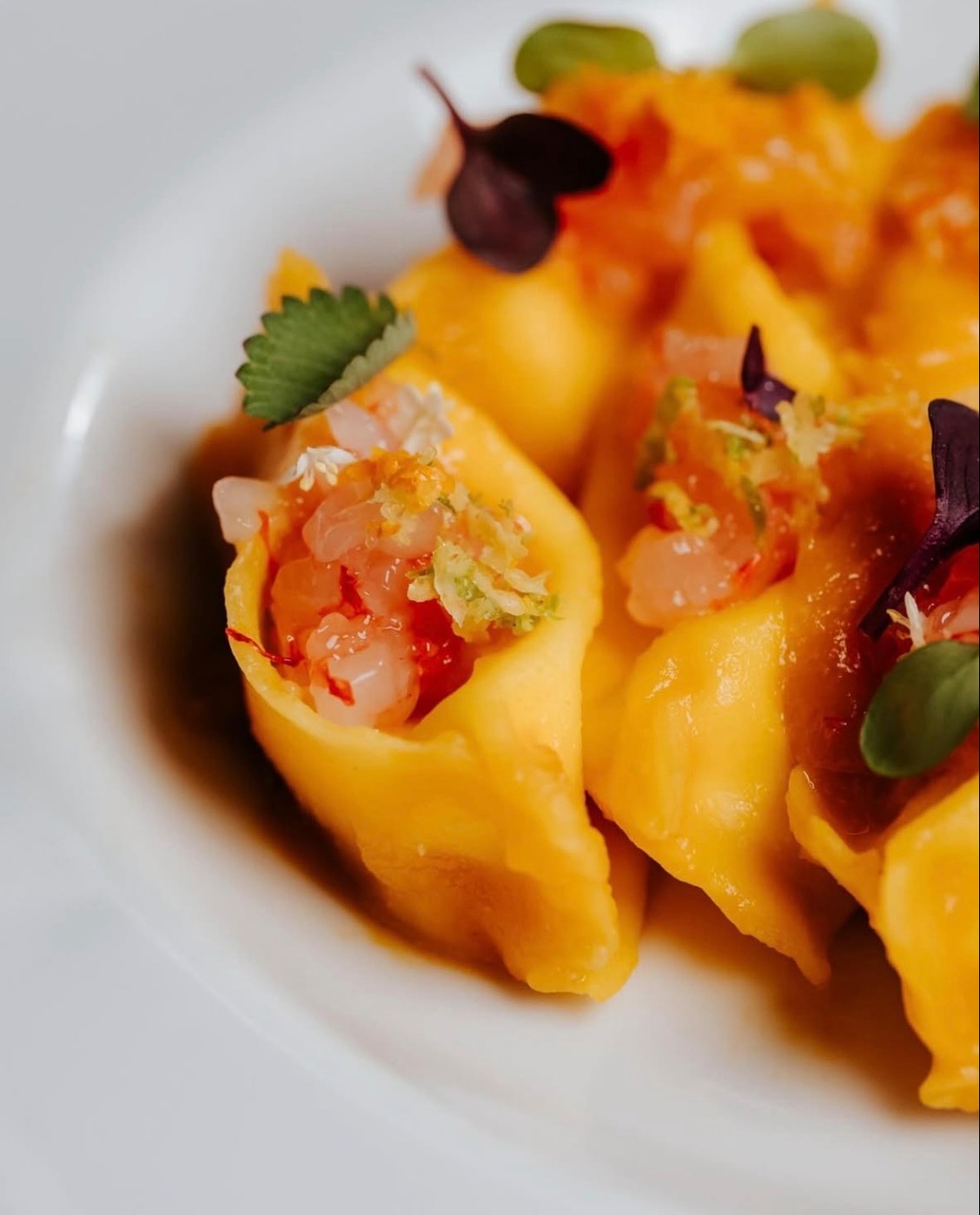 IMG_1966.jpeg IMG_1966.jpeg