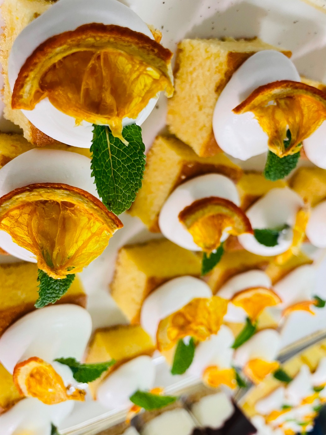 IMG_6893.jpeg IMG_6893.jpeg