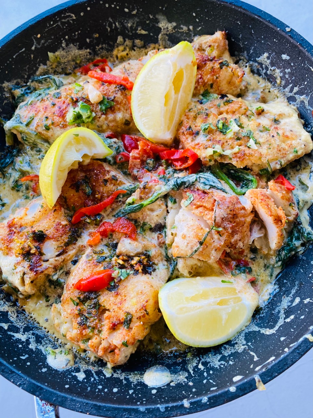 IMG_3996.jpeg IMG_3996.jpeg