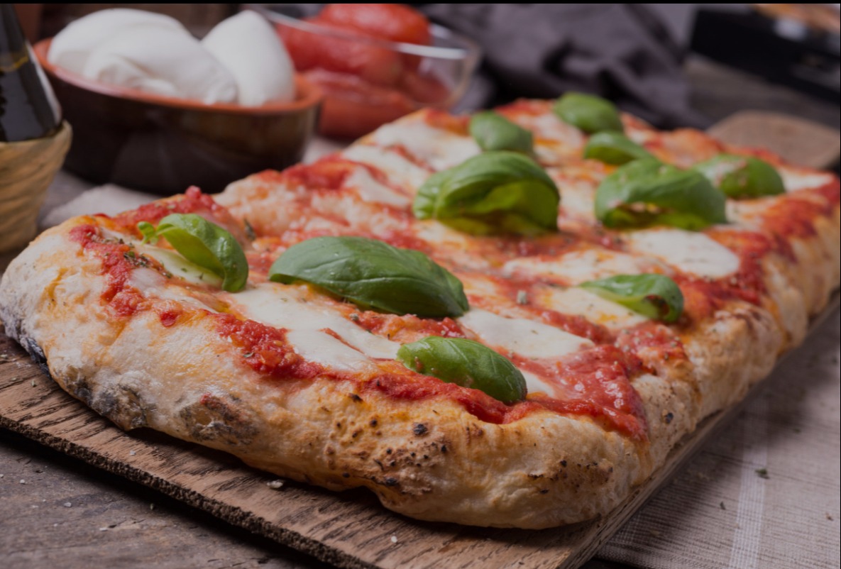 IMG_0236.jpeg IMG_0236.jpeg