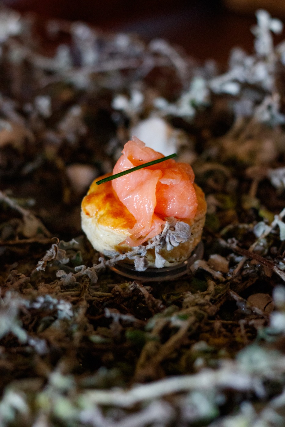 IMG_6730.jpeg IMG_6730.jpeg