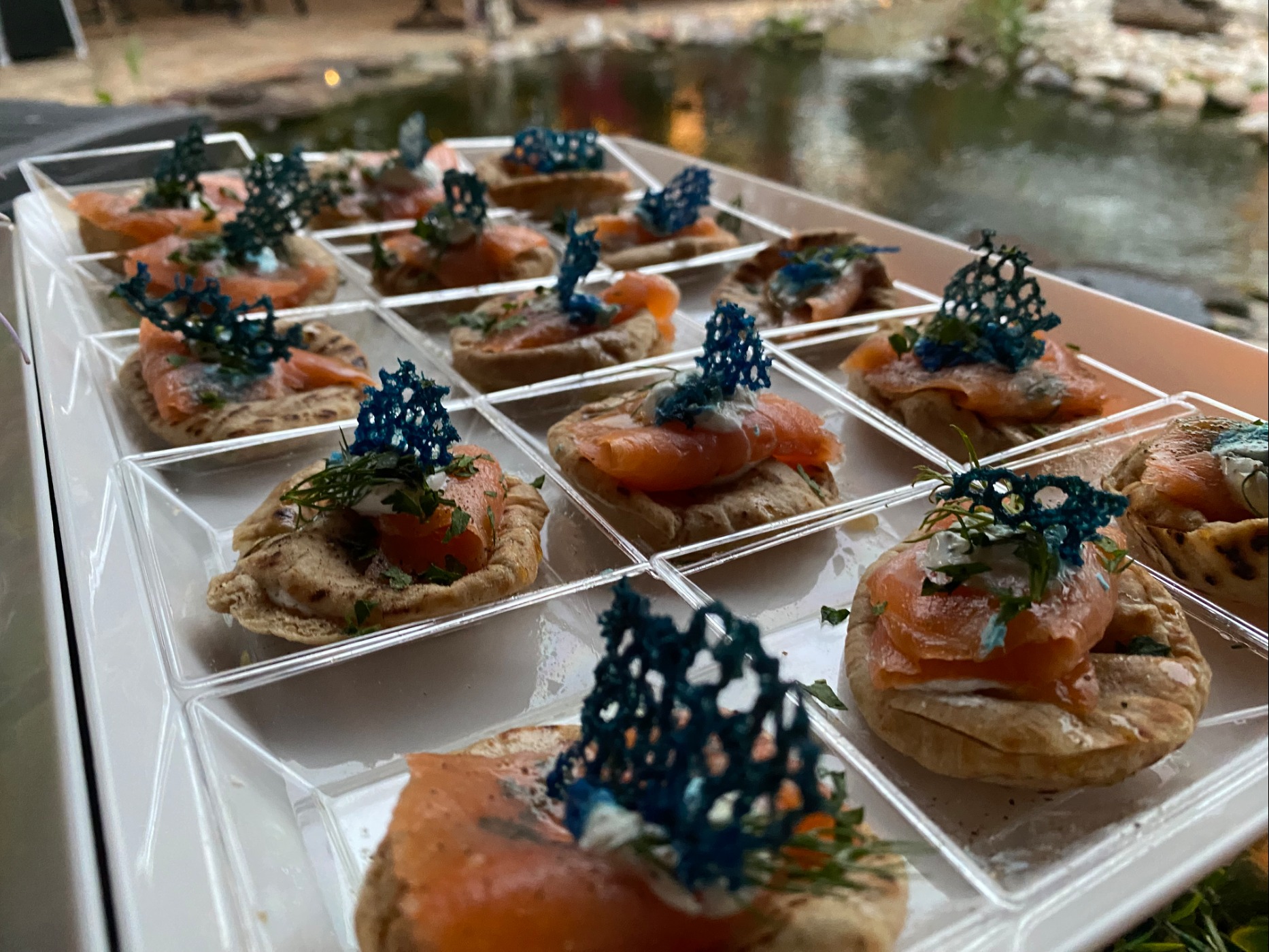 IMG_4952.jpeg IMG_4952.jpeg