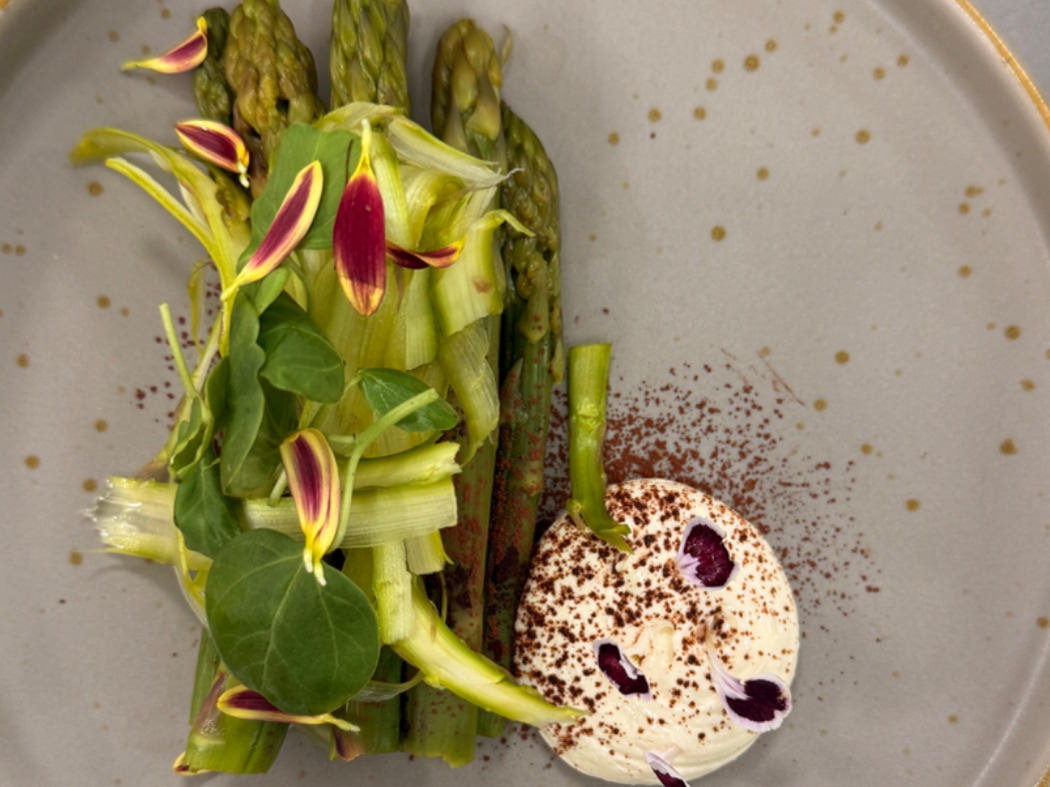 IMG_4948.jpeg IMG_4948.jpeg