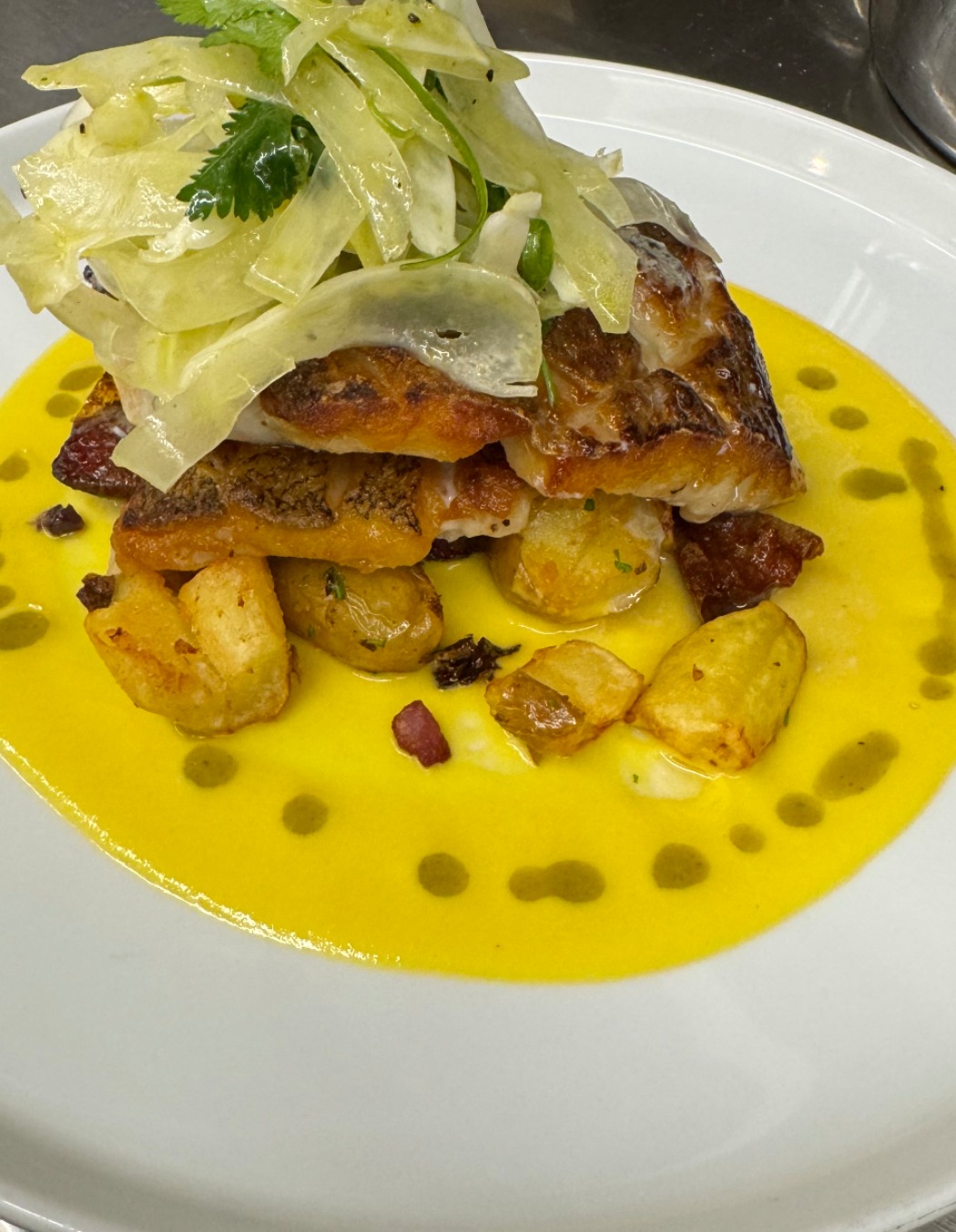 IMG_5074.jpeg IMG_5074.jpeg