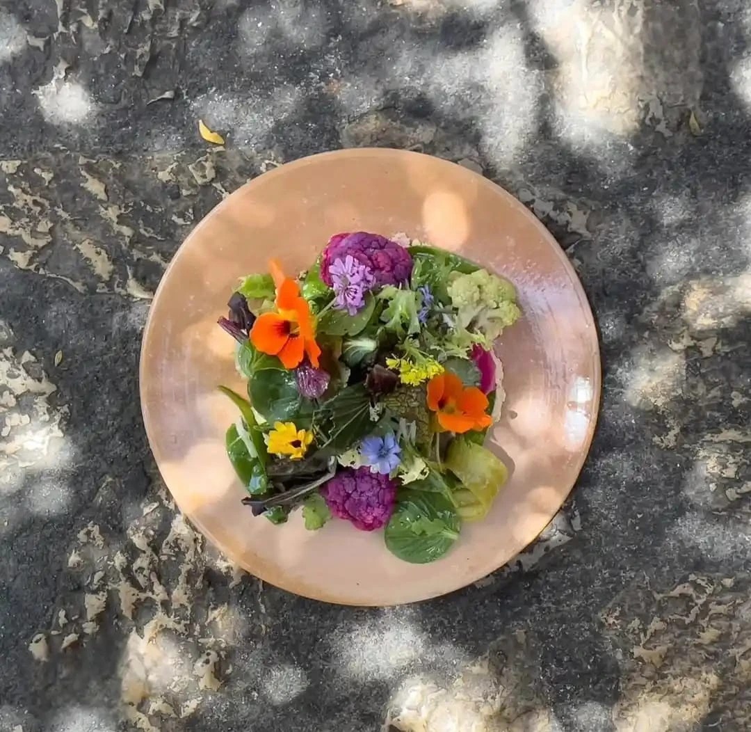 WhatsApp Image 2025-12-11 at 19.30.02 (3).jpeg WhatsApp Image 2025-12-11 at 19.30.02 (3).jpeg