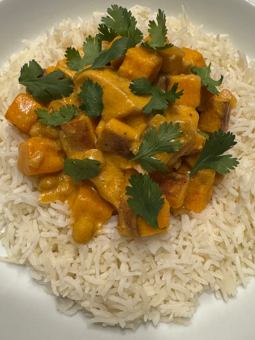 IMG_5035.jpeg IMG_5035.jpeg