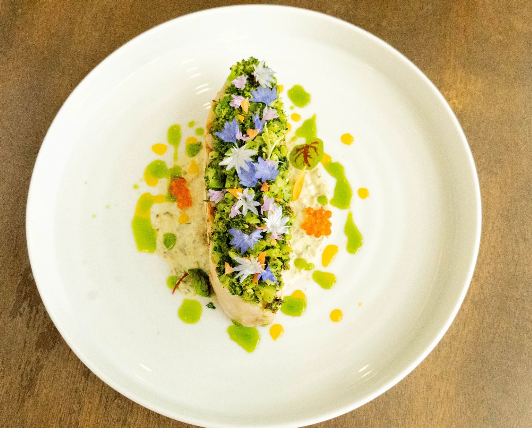 IMG_0381-1.jpg IMG_0381-1.jpg