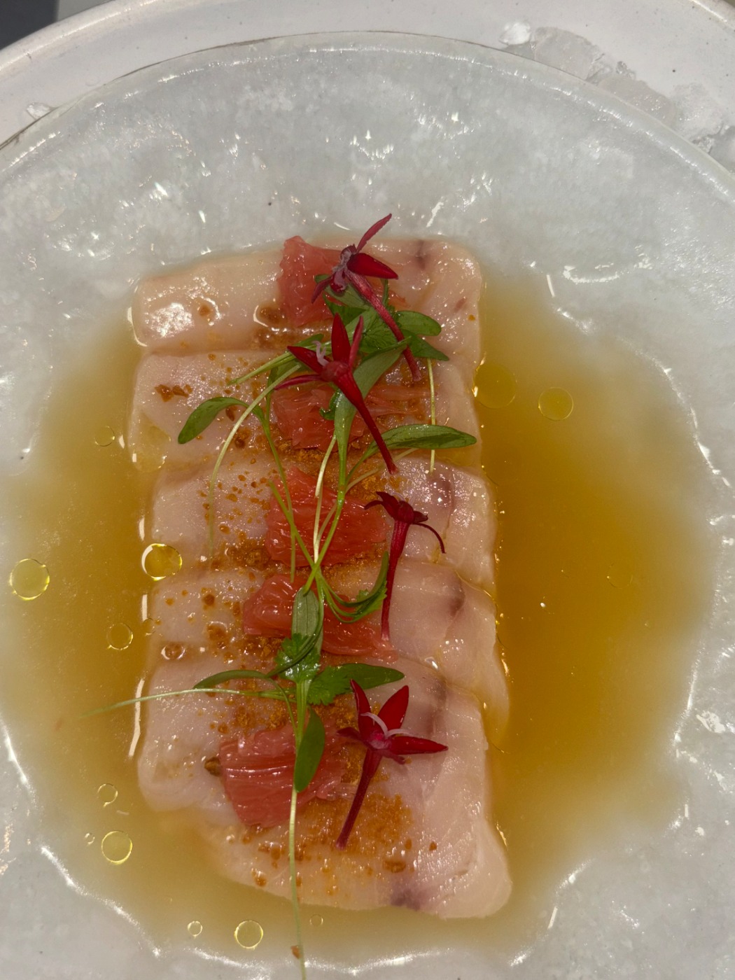 tempImageeJhPJH.jpg tempImageeJhPJH.jpg