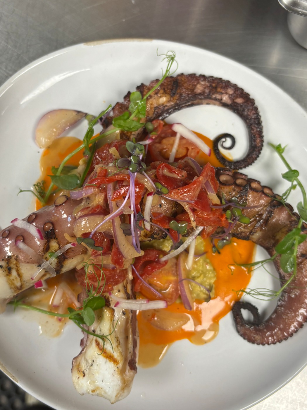 tempImagezkCbvo.jpg tempImagezkCbvo.jpg