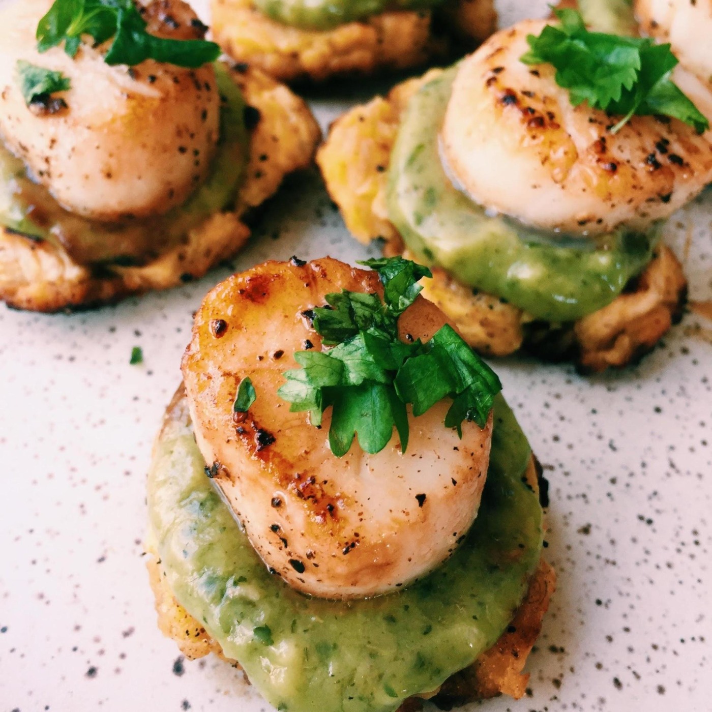 image2-5.jpg image2-5.jpg