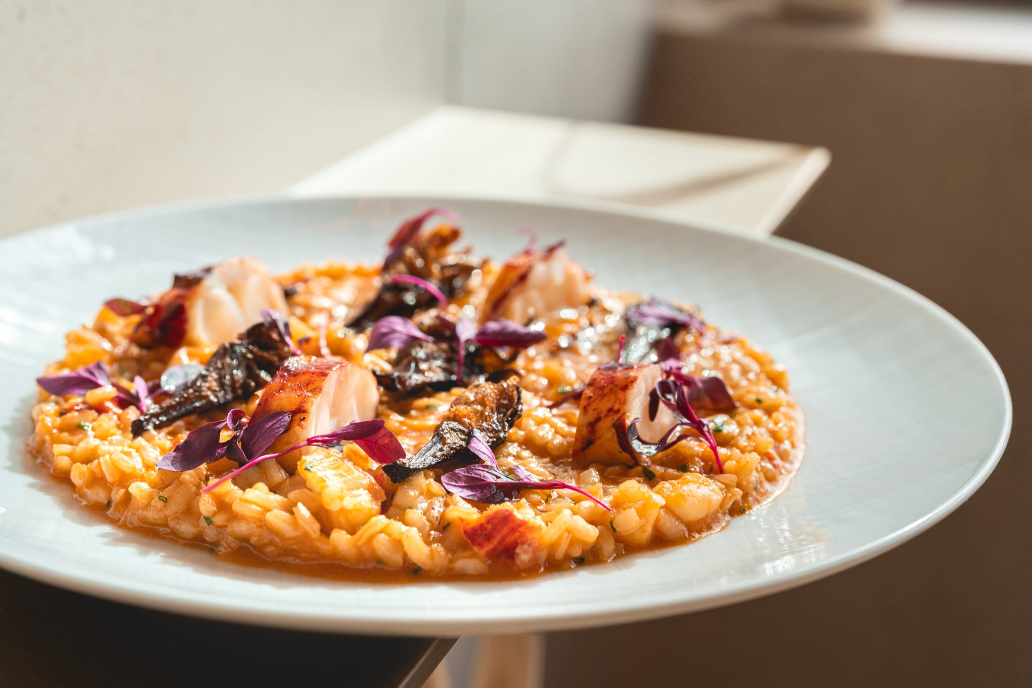 DSC07712.jpg DSC07712.jpg