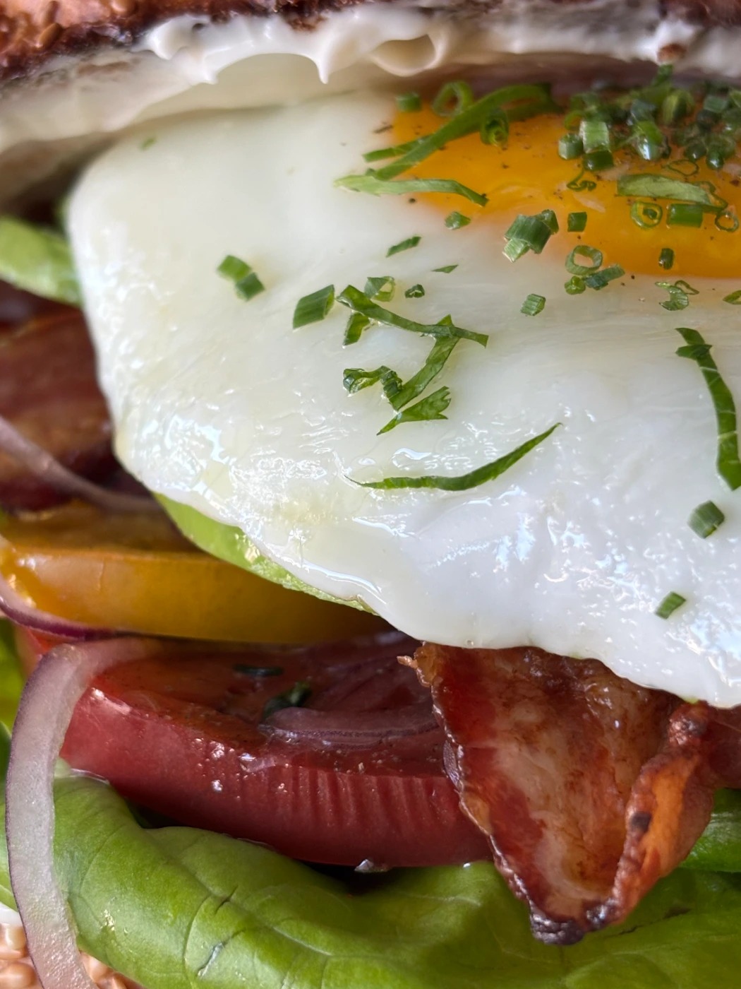 IMG_1409.jpeg IMG_1409.jpeg