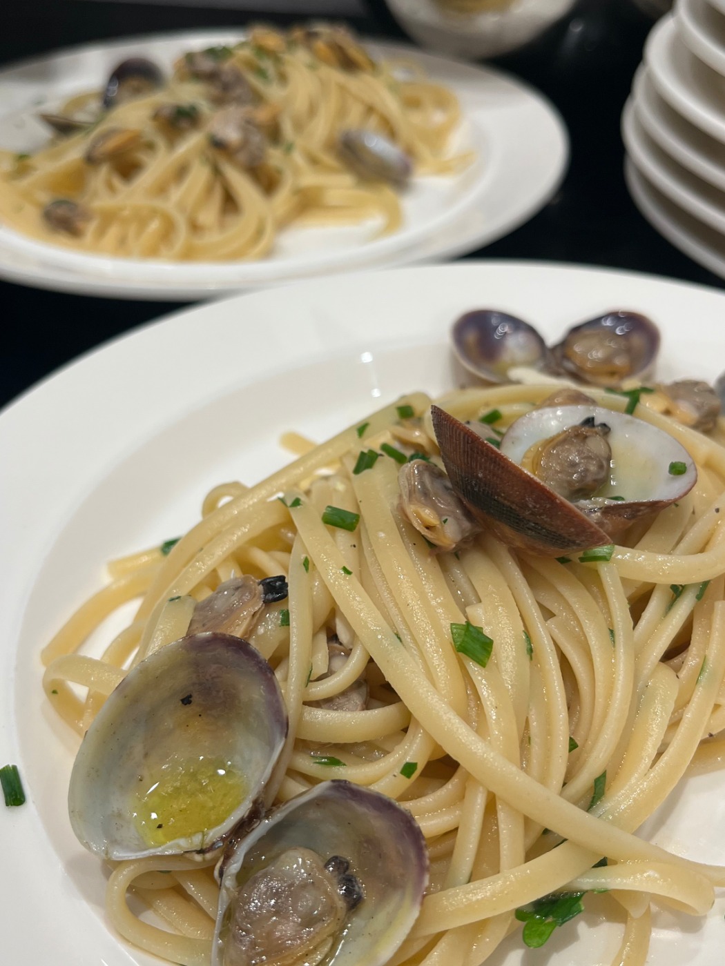 IMG_3525.jpeg IMG_3525.jpeg