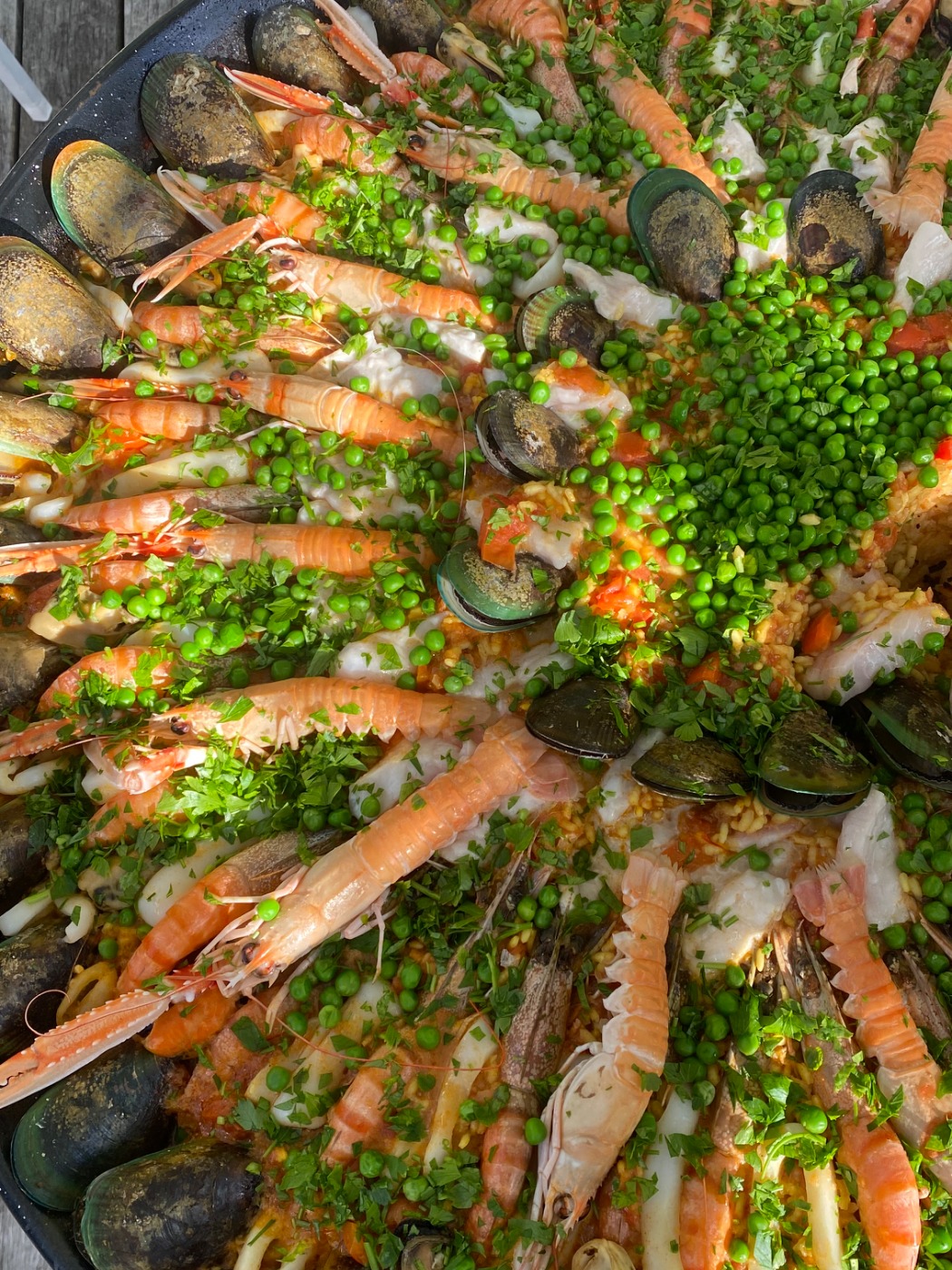 IMG_3667.jpeg IMG_3667.jpeg