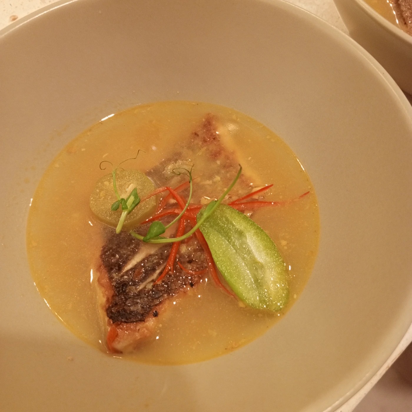 IMG_20250907_191128_597.jpg IMG_20250907_191128_597.jpg