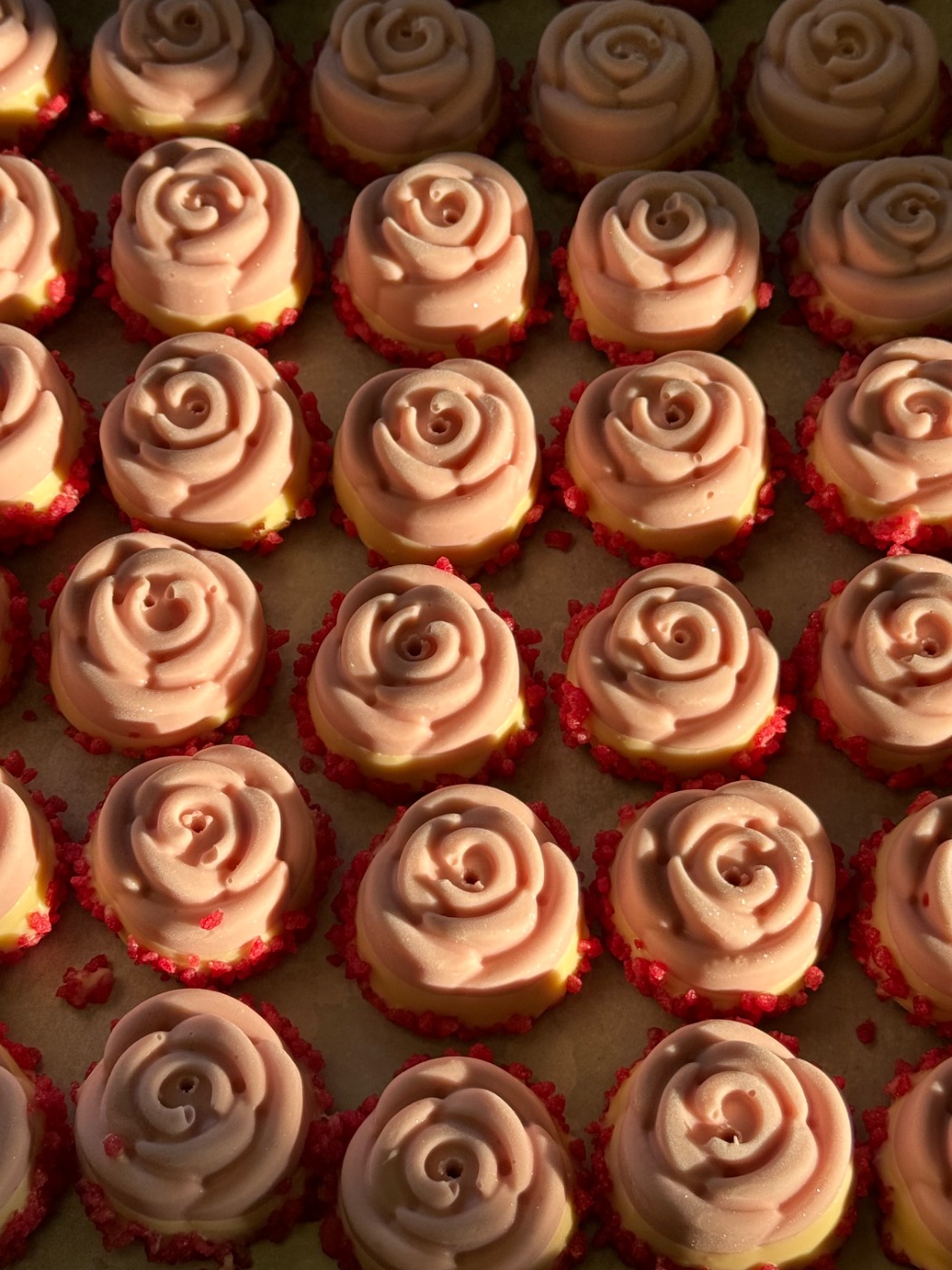 IMG_2337.jpeg IMG_2337.jpeg