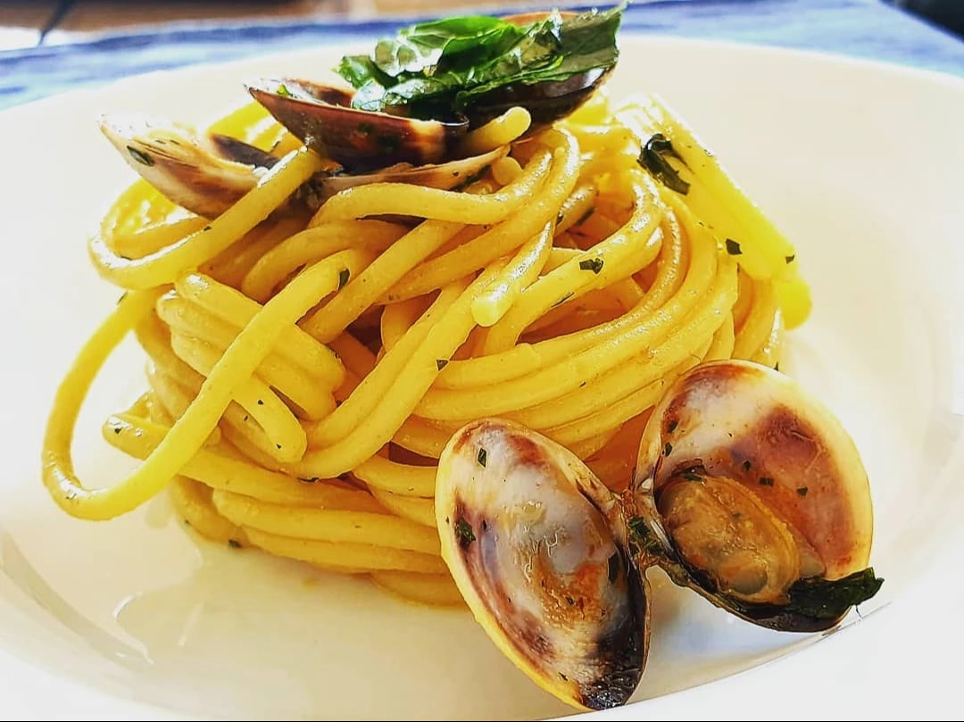 157417505_1807218842789661_488004432309365002_n_17883599576056624.jpg 157417505_1807218842789661_488004432309365002_n_17883599576056624.jpg