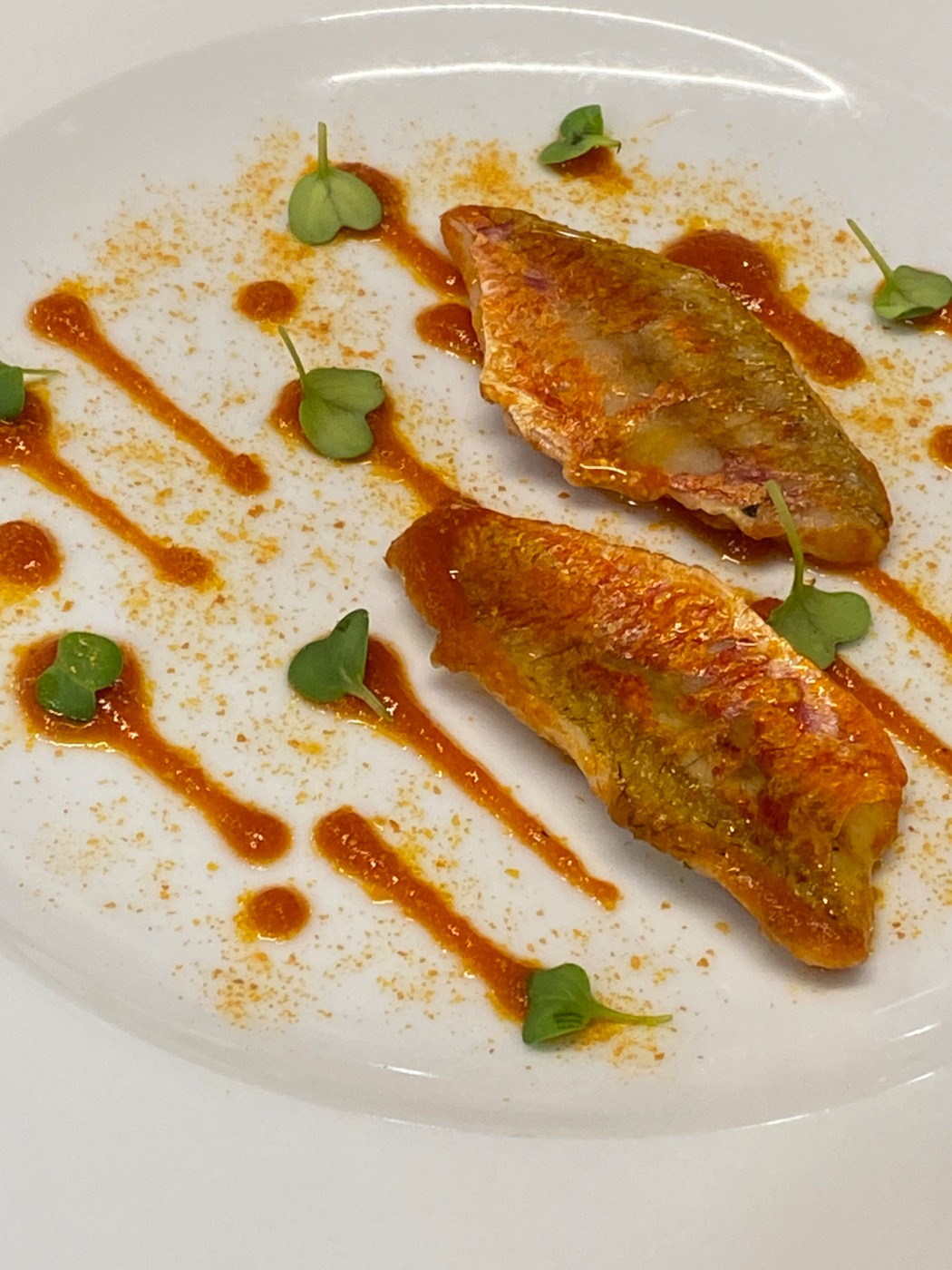 IMG_1830.JPG IMG_1830.JPG