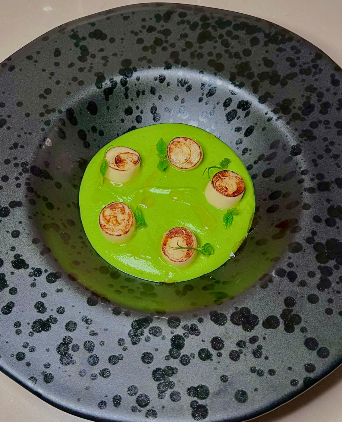 IMG_7172.jpg IMG_7172.jpg