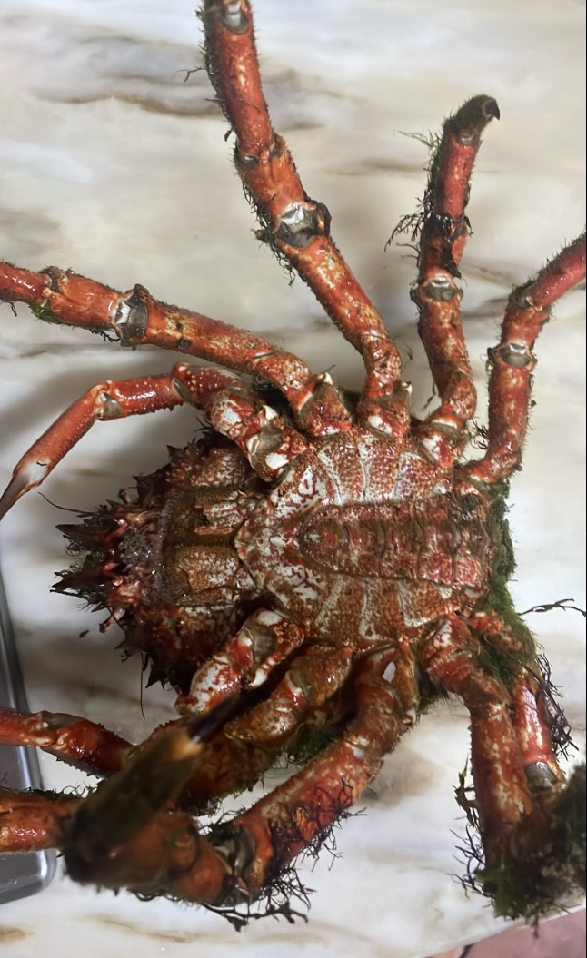 IMG_2656.png IMG_2656.png