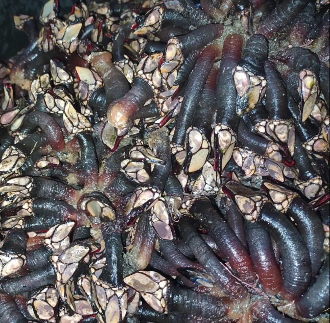 IMG_2655.png IMG_2655.png