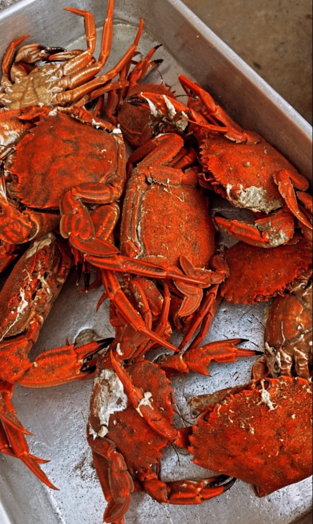 IMG_2653.png IMG_2653.png