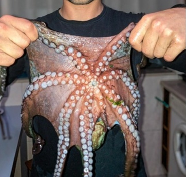 IMG_2652.png IMG_2652.png